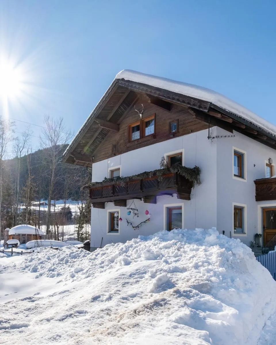 Zonnen-Alp in de sneeuw met zon